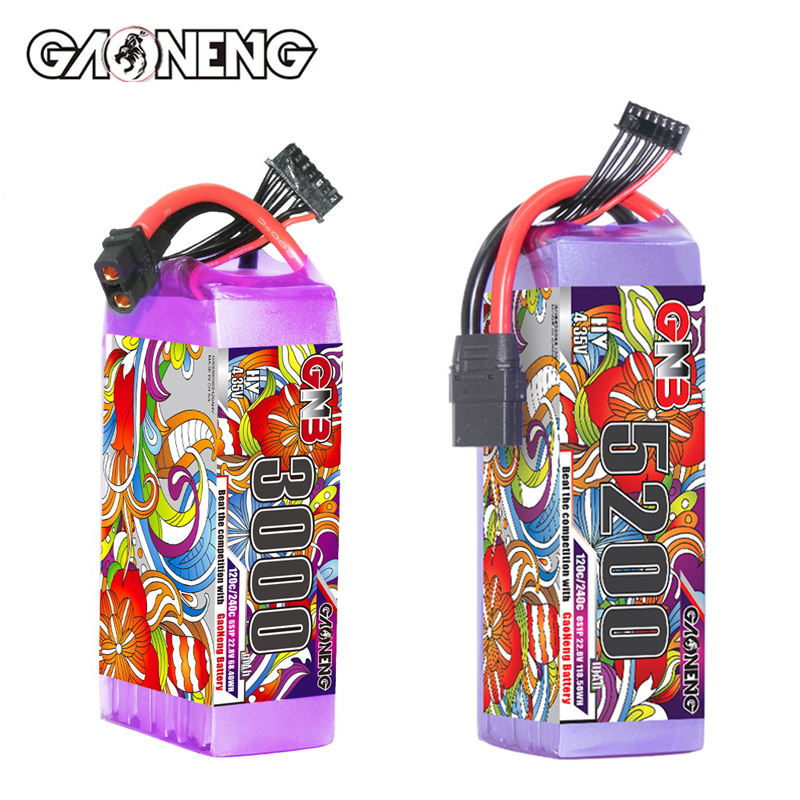 Lipo Battery 6S - Batería Lipo GNB 6S 22,8 V